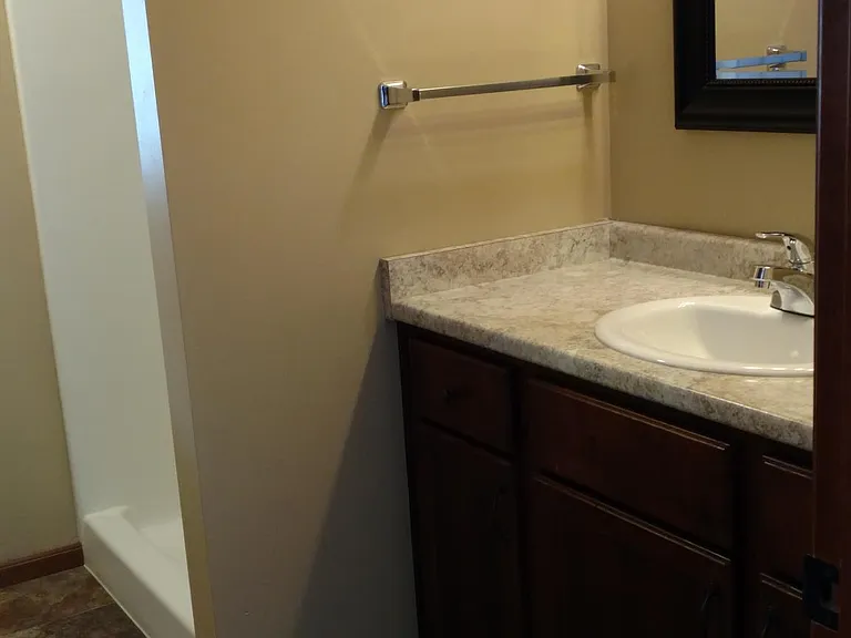 Master Bathroom/ walk in shower
