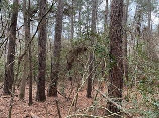 Hall Survey, Colmesneil, TX 75938