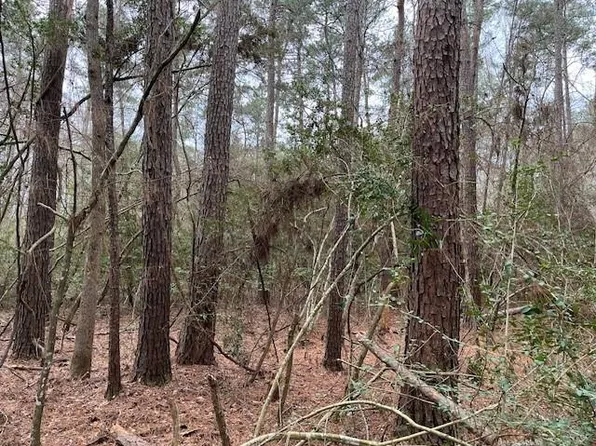 Hall Survey, Colmesneil, TX 75938