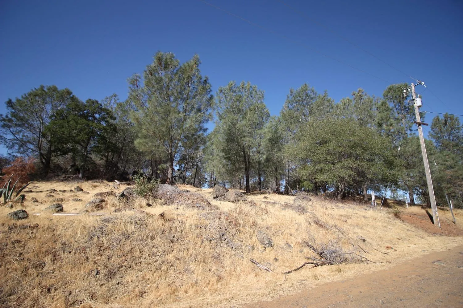 12068 Shepard Rd photo 1