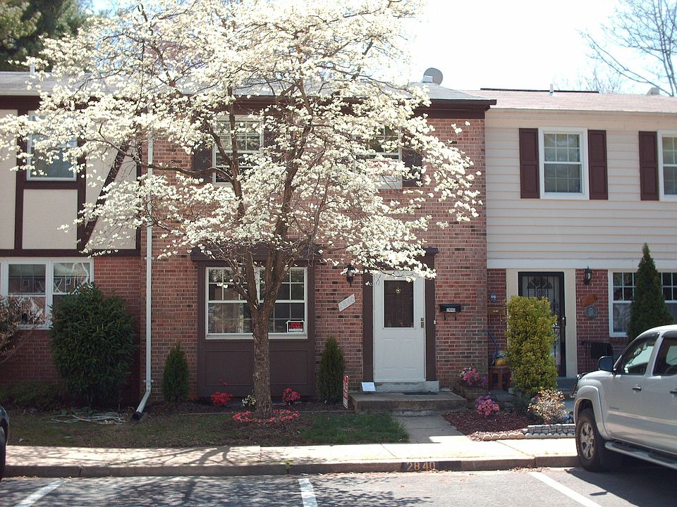 Dogwood flowers in April
