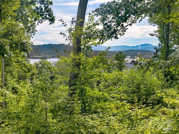 59 Arabella Ln, Arden, NC 28704