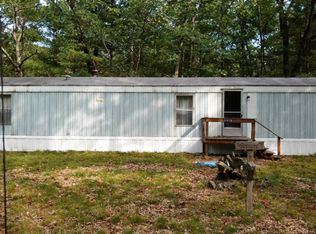 11878 S Tamarack Pnes, Baldwin, MI 49304