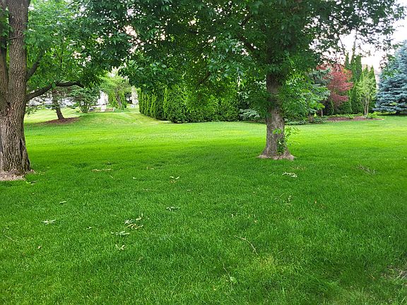 5th image of 10016 Wildwood Ln