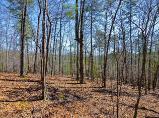 99 Mountain Creek Hollow Dr, Talking Rock, GA 30175