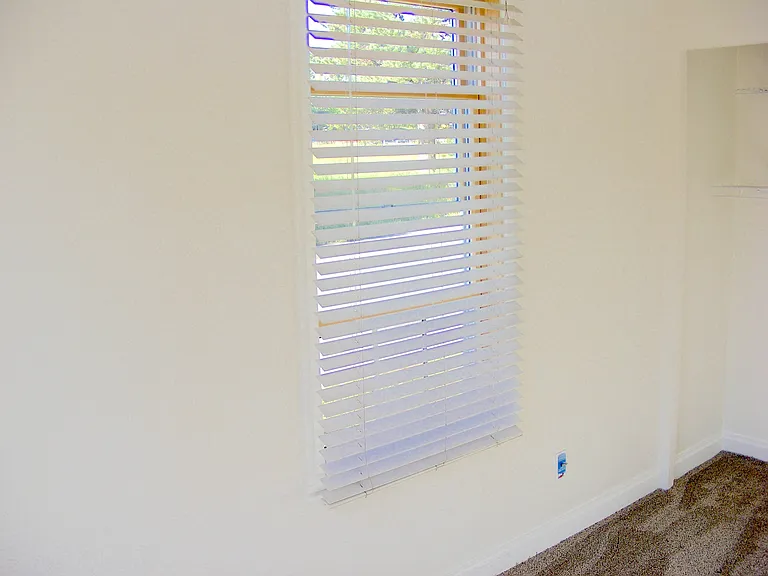 115 N Park St #8 — Photo 7