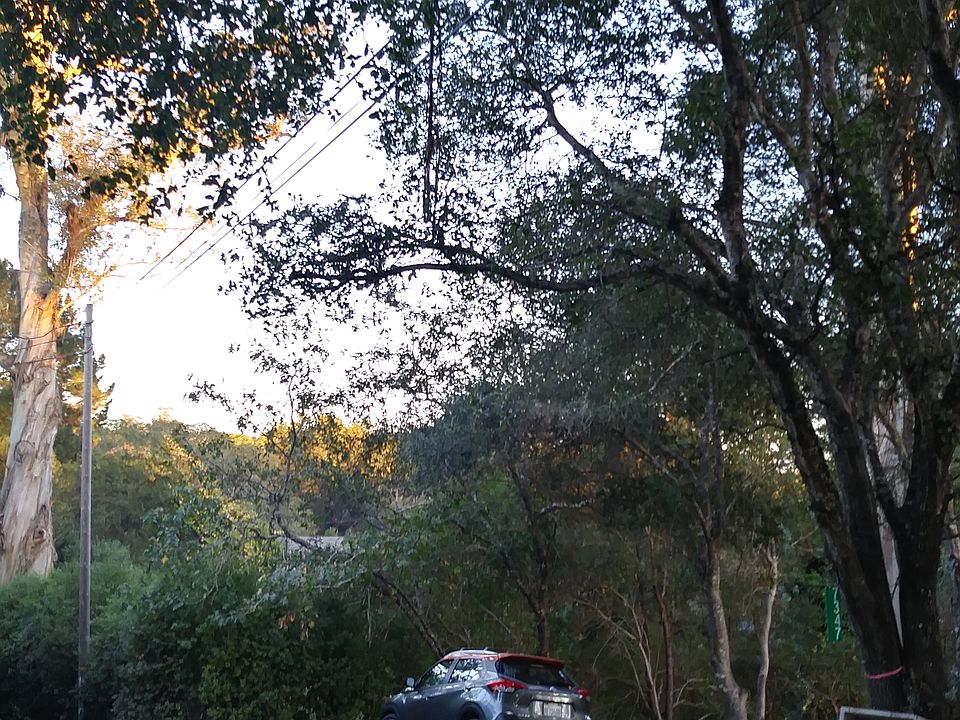 2nd image of 7347 Covey Rd