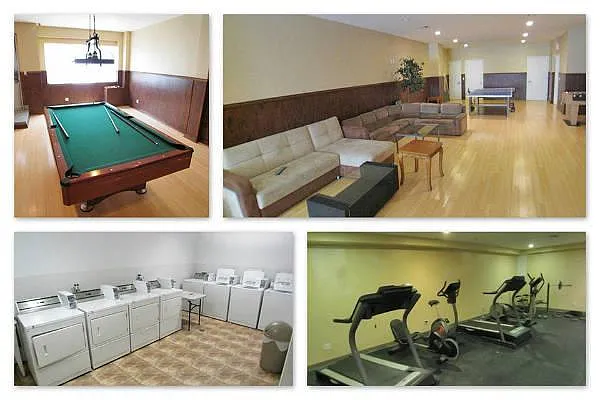 Rented by Level Group | media 42