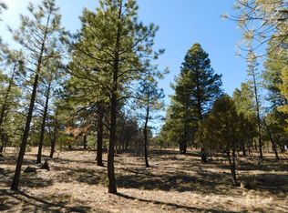 3620 Durango Dr, Happy Jack, AZ 86024