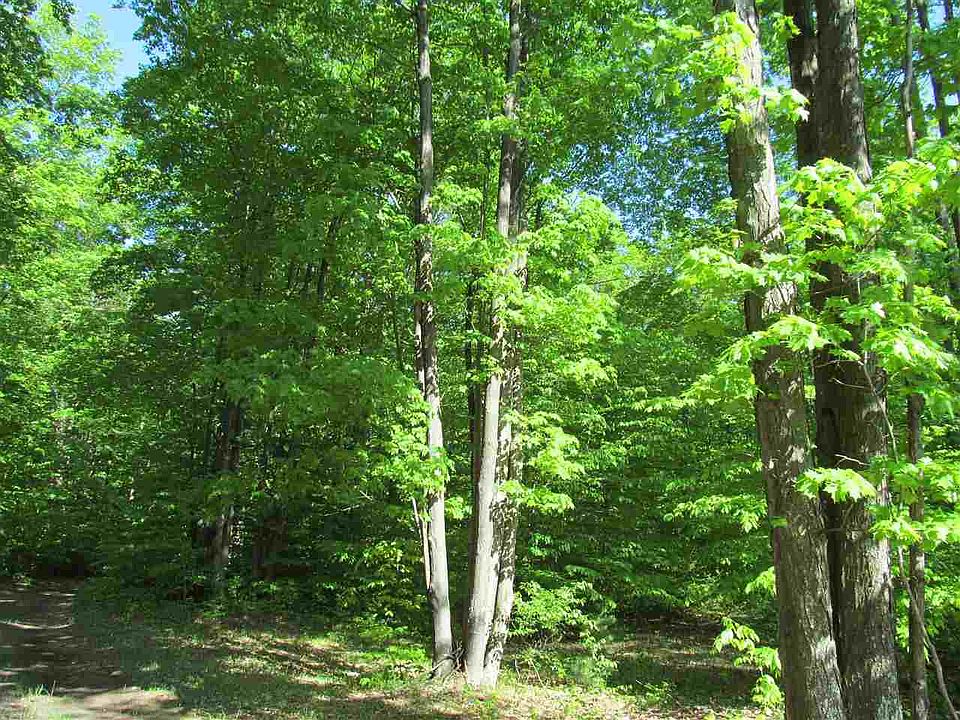 1st image of 0 Bondsmill Trl