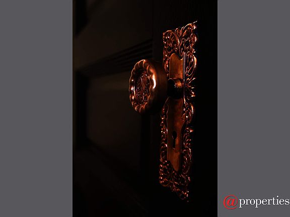 Restored 1891 brass hardware & solid oak doors