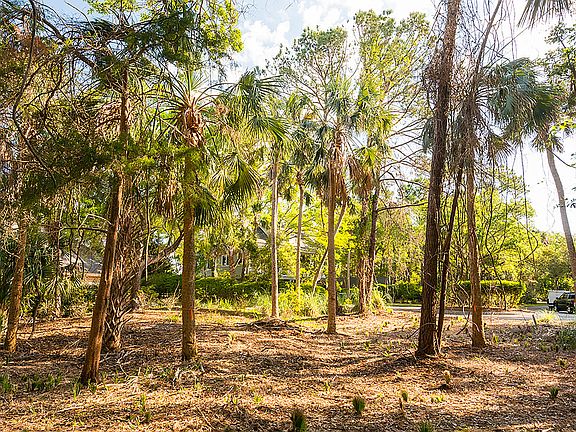 4th image of 84 Wax Myrtle Ct