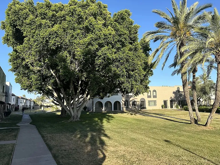 Grassy areas with walking paths.