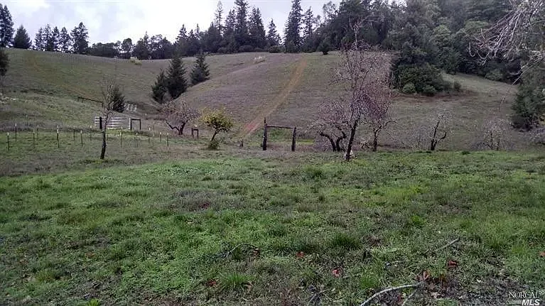 13333 Low Gap Rd — Photo 16