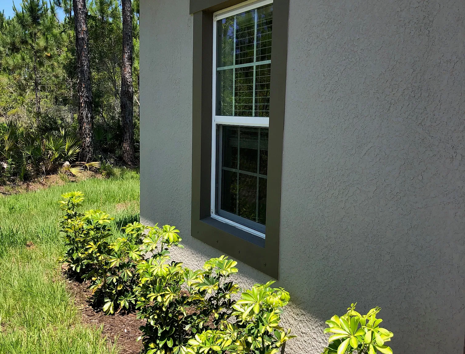 3 bed, 1255 sqft, $1,655 — Photo 2