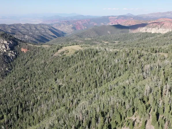 Near Dry Lakes Rd, Brian Head, UT 84719