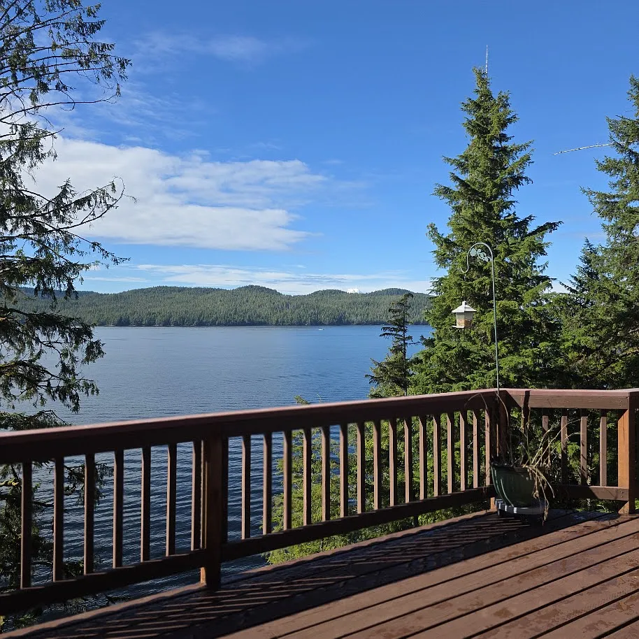 16781 North Tongass Highway - Main — Photo 4