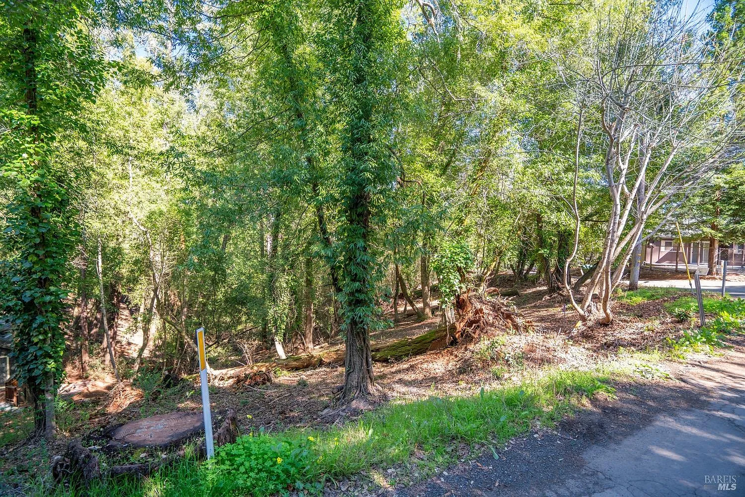10612 Canyon Road - Photo 1
