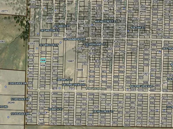 00001 Willow Street, Hartsel, CO 80449