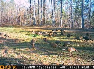 640 Canaan St, Ashland, MS 38603