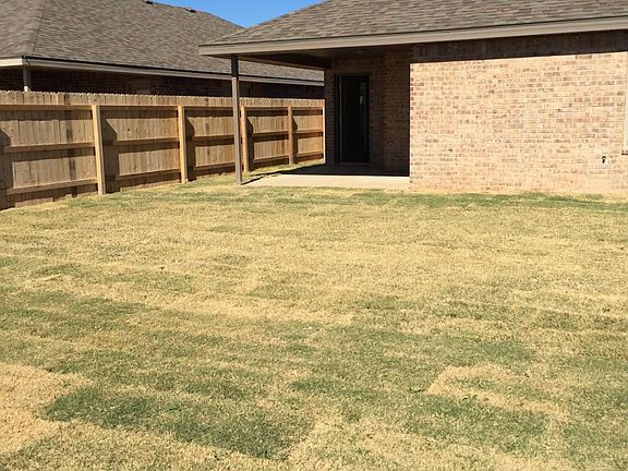 Back yard