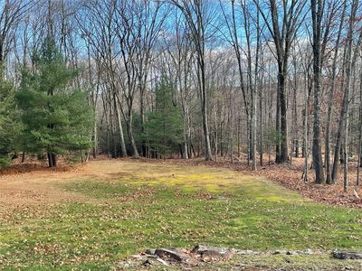 29 Porter Road, Mountain Dale, NY, 12763