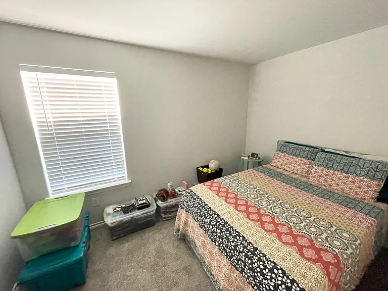 717 White Comb Ln — Photo 10