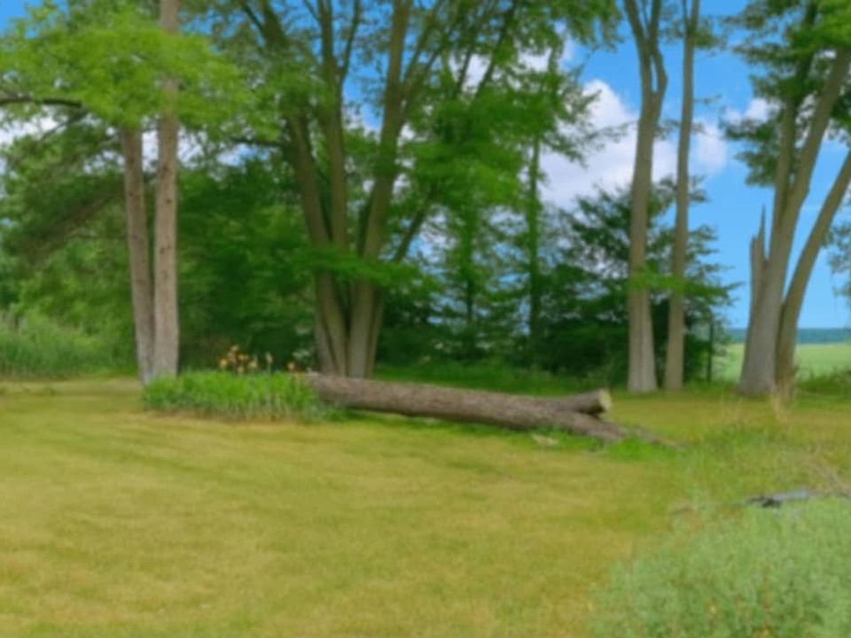 36130 S Zilm Rd, Custer Park, IL 60481 | Zillow