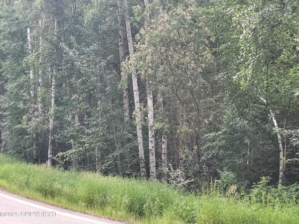 0 Steele Creek Rd, Fairbanks, AK 99712