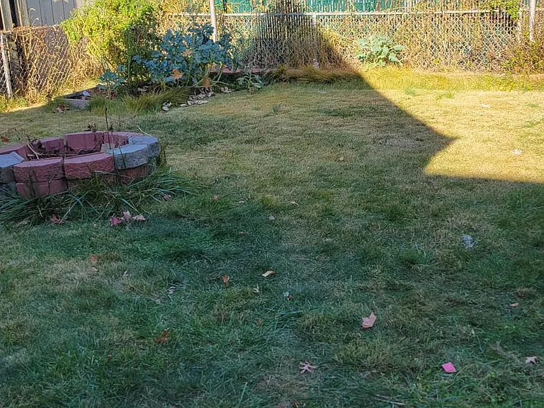 610 Lindegar St — Photo 27