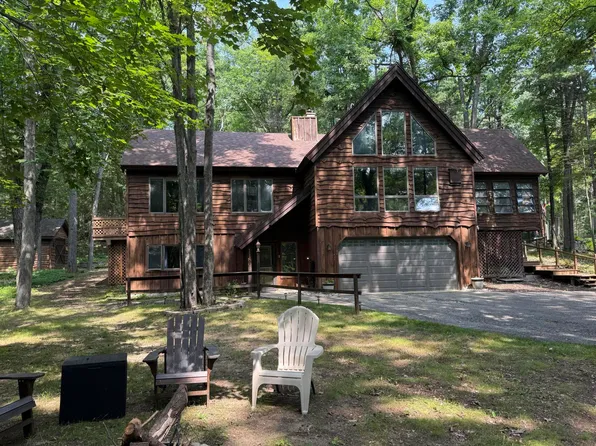 11800 Goodfellow Dr, Frederic, MI 49733