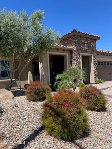 21716 N 265th Ln, Buckeye, AZ, 85396