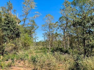 0 County Road 851, Nacogdoches, TX, 75964