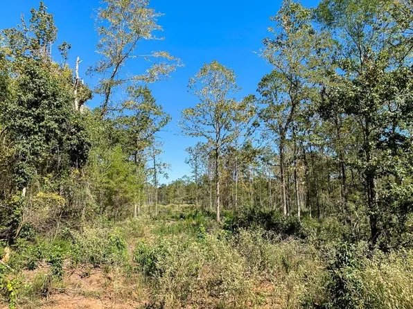 0 County Road 851, Nacogdoches, TX 75964