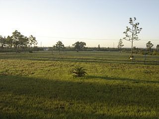 Five Acres