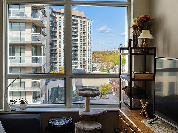 Shared Living Room