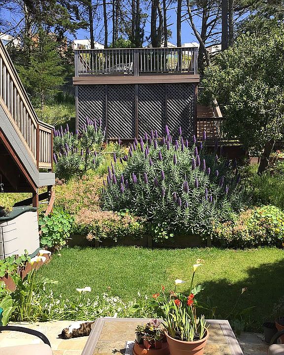1st image of 1390 Skyline Dr