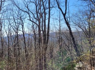 7.38 Tatum Lead Rd, Ellijay, GA 30540