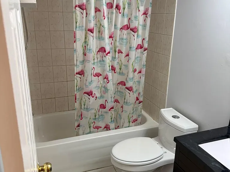 435 Elson St #BASEMENT — Photo 8
