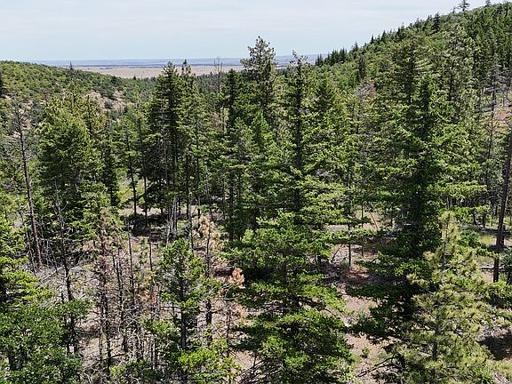 4th image of 0 Kelly Springs Rd