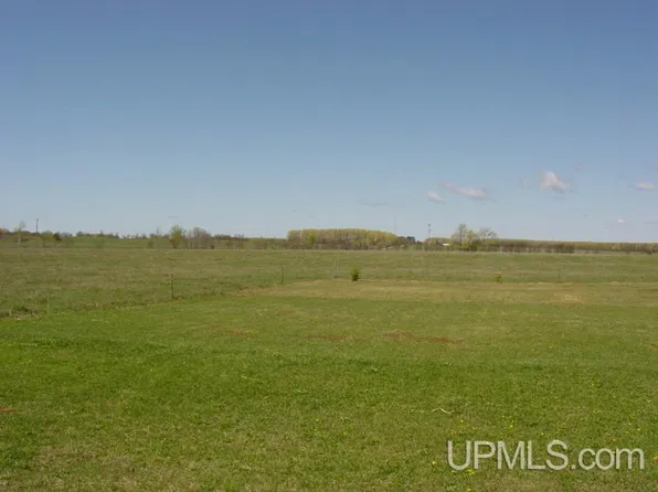 Peterson Rd, Cooks, MI 49817
