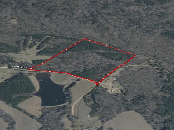 County Road 110, Houston, MS 38851