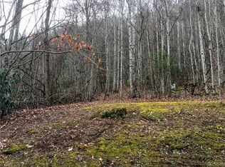 13628 Cruso Rd, Canton, NC 28716