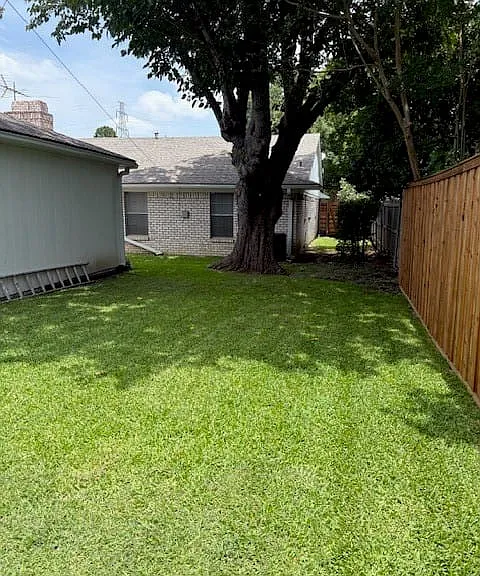 large backyard with new board-on-board fence