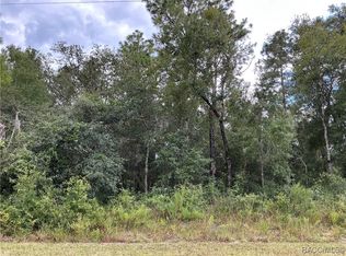 2846 E Celina St, Inverness, FL 34453