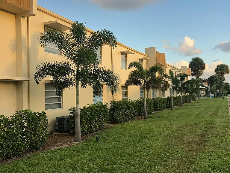 Whispering Palms — Photo 7