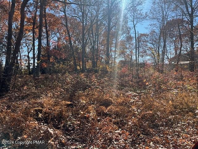 2nd image of A14 Martha Ln