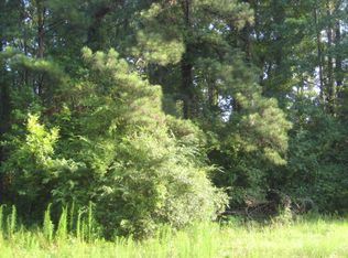 932 Buffalo Rd, Box Springs, GA 31801