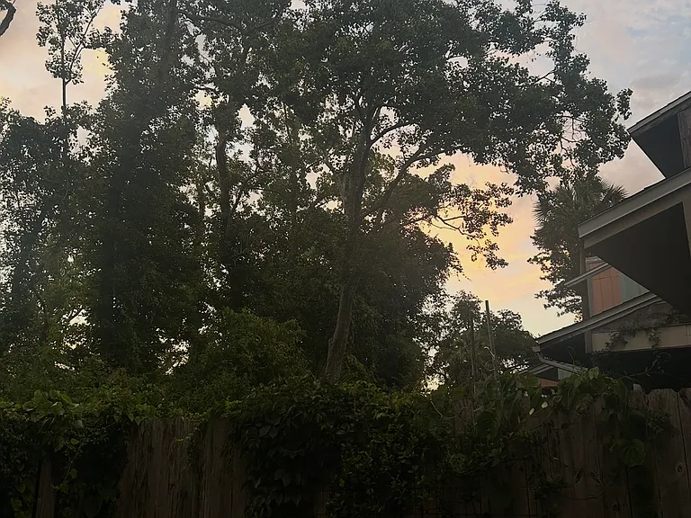 Chipewa St — Photo 7