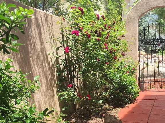 Recent photo of Courtyard